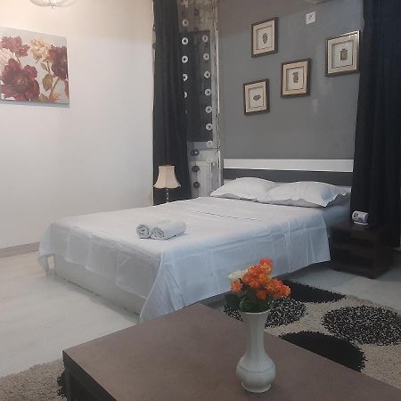 Studio Calea Victoriei Apartment Bukares Bagian luar foto